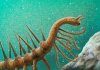 Extinct: Hallucigenia
