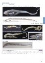 Umi No Mikuro Seibutsu Zukan: Chirimenmonsuta No Naka Ni Hirogaru Sekai [Microbiological Encyclopedia of the Sea: The World Shown in Dried Fish Specimens]