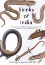 Skinks of India