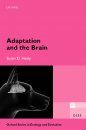 Adaptation and the Brain