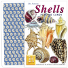 Shells Playing Cards 