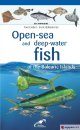 Open-Sea and Deep-Water Fish of the Balearic Islands