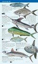 Open-Sea and Deep-Water Fish of the Balearic Islands
