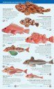 Open-Sea and Deep-Water Fish of the Balearic Islands