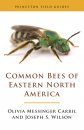 Common Bees of Eastern North America