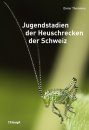 Jugendstadien der Heuschrecken der Schweiz [Juvenile Stages of the Grasshoppers of Switzerland]