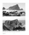 Seabird Colonies of British Columbia, Volume 1: A Century of Changes