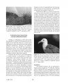 Seabird Colonies of British Columbia, Volume 1: A Century of Changes