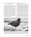 Seabird Colonies of British Columbia, Volume 2: Haida Gwaii