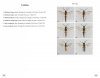 Sawflies of Europe