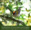 Vocalizations of Treecreepers and Kinglets of the Palaearctic Region (Genera Certhia and Regulus) (2CD)