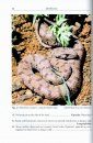 A Guide to the Reptiles and Amphibians of Iran