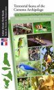 Terrestrial Fauna of the Comoros Archipelago / Faune Terrestre de l’Archipel des Comores