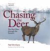 Chasing the Deer