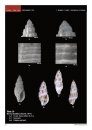 Little Conoidean Shells from Dhofar, Oman, with Description of 35 New Species