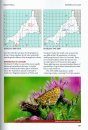 Butterflies of Cornwall