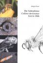 Die Seidenbiene (Colletes daviesanus): Lebensstrategie einer Spezialisierten Wildbiene [The Plasterer Bee (Colletes daviesanus): Life Strategy of a Specialized Wild Bee]