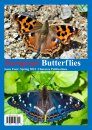 European Butterflies, Issue 4: Spring 2021