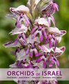 Orchids of Israel