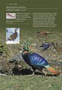 A Photographic Field Guide to the Birds of Nepal