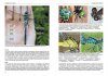Dragonflies of Russia: Illustrated Photo Guide [Russian]