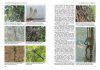Dragonflies of Russia: Illustrated Photo Guide [Russian]
