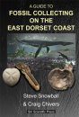 A Guide to Fossil Collecting on the East Dorset Coast