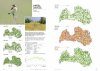 Latvijas Ligzdojošo Putnu Atlanti 1980-2017 [Latvian Breeding Bird Atlas 1980-2017]