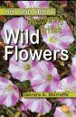 Discovering British Wild Flowers