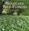 Woodland Wild Flowers