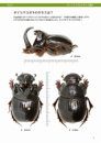 Genus Copris of Japan [Japanese]
