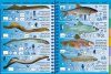 Freshwater Pictolife Western Europe [multilingual]
