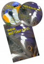 British Butterflies ID DVD / Blu-ray (All Regions)