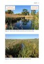 Water Vole Field Signs and Habitat Assessment