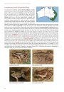 Photographic Field Guide to Australian Frogs