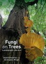 Fungi on Trees