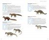 Mammals of Madagascar
