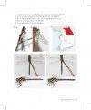 Korean Odonata Adult and Larva