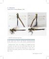 Korean Odonata Adult and Larva