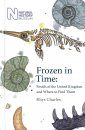 Frozen in Time Fossils of the United Kingdom and Where to Find Them
