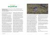 Gewilde Dieren: Herintroducties van Dieren in Nederland [Wanted Animals: Reintroductions of Animals in the Netherlands]
