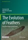 The Evolution of Feathers