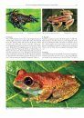 Amphibian Biology, Volume 11, Part 7 – Status and Threats of Afrotropical Amphibians