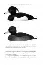 How Birds Evolve