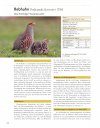 Atlas der Brutvögel Oberösterreichs 2013-2018 [Atlas of Breeding Birds in Upper Austria 2013-2018]