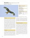 Atlas der Brutvögel Oberösterreichs 2013-2018 [Atlas of Breeding Birds in Upper Austria 2013-2018]
