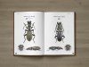 Ground Beetles of Africa