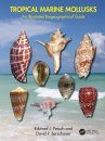 Tropical Marine Mollusks