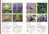 A Field Guide to the Plants of Armenia