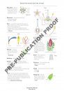 Illustrated Plant Glossary